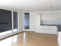 Wohnimmobilie Miete Dachgeschosswohnung Terrassenwohnung