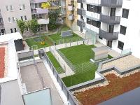 Wohnimmobilie Miete Dachgeschosswohnung Zwei-Zimmer-Terrassenwohnung