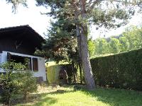 Wohnimmobilie Kauf Einfamilienhaus Ruhe gesucht? Hier ist Ihr Häuschen im Odenwald!