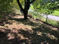 Wohnimmobilie Kauf Landwirtschaft/Forst/Bauerwartungsland Gartengrundstück mit Gartenhaus